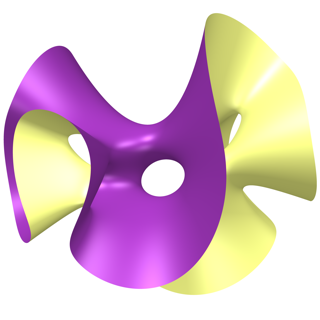 A digital image of a shape created by Artie Prendergast-Smith using surfer.